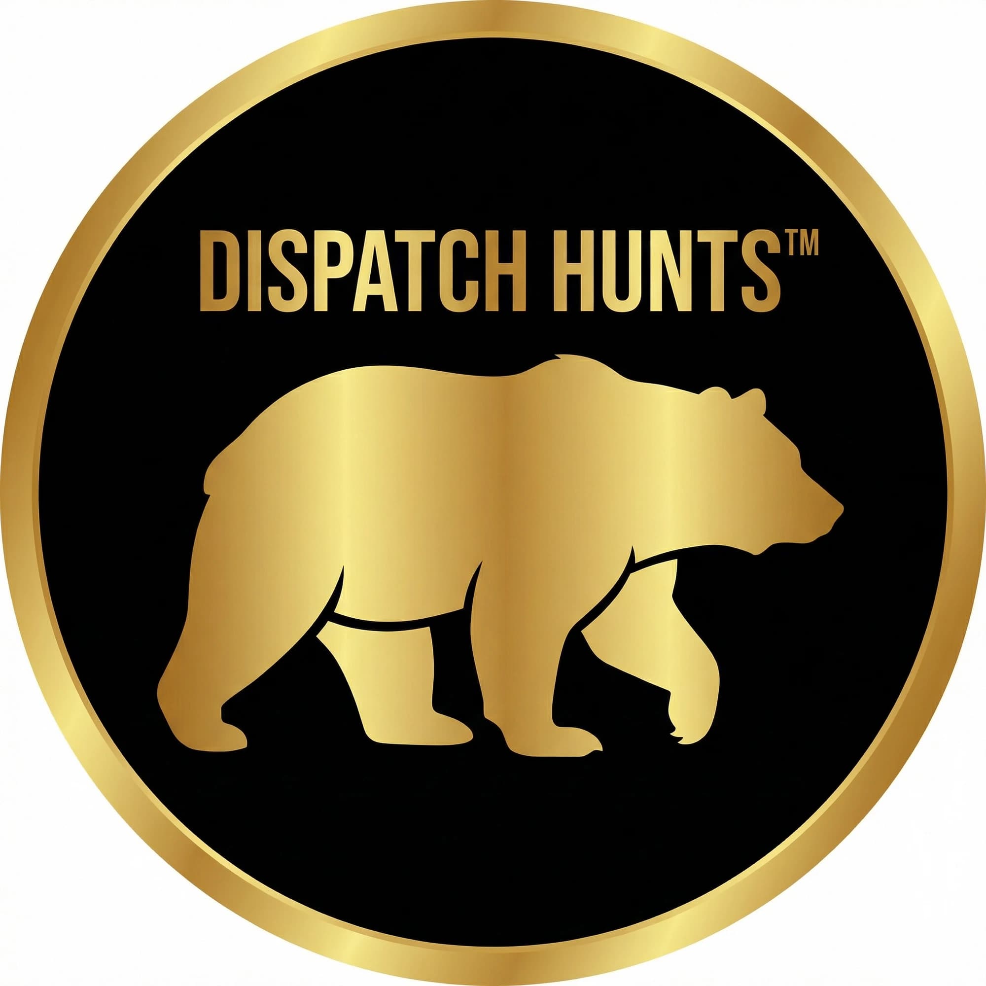 Dispatch Hunts project preview